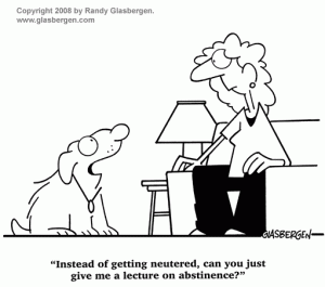 HAHD_funny-dog-cartoon-neutered