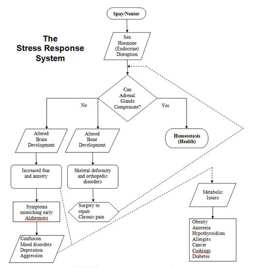 HAHD_Stress_Response_System
