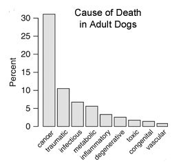 HAHD_Adult_Death_Causes