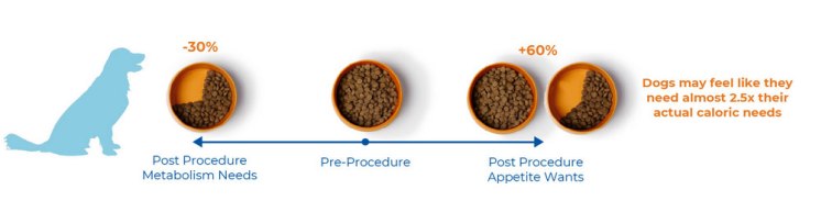 HAHD_Obesity_Diagram